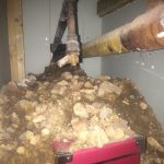 We found evidence of rats excavating under a home